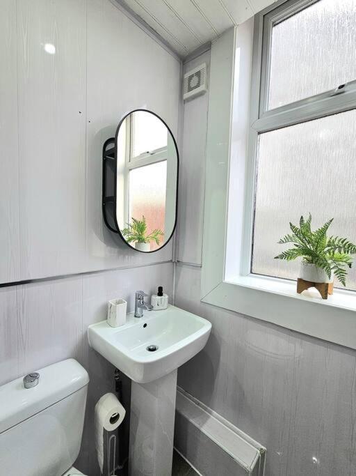 Spacious Haven With Free Parking 格拉斯哥 外观 照片